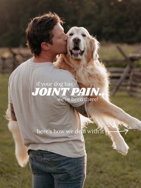 Riley the Golden Retriever ad