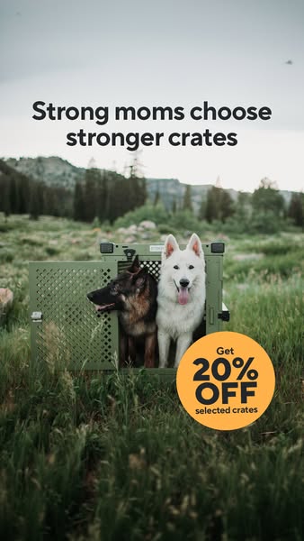 Impact Dog Crates ad