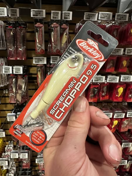 Scheels Outdoors ad