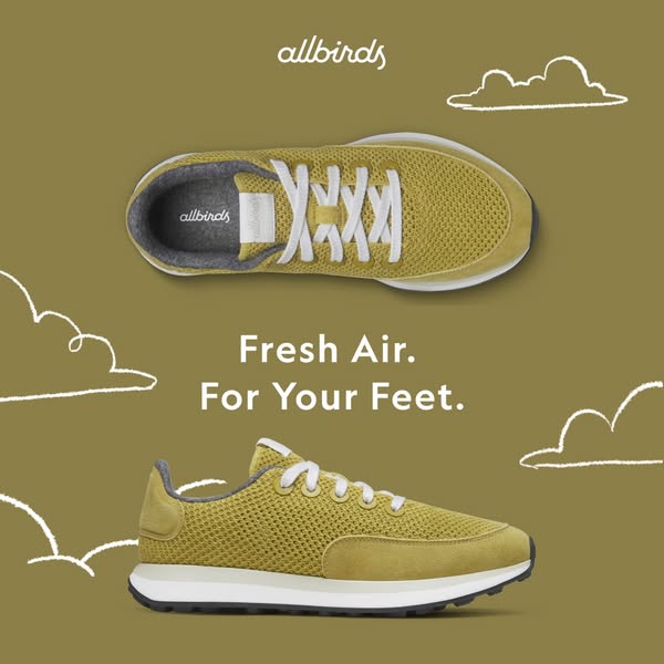 An image ad featuring Allbirds sneakers.