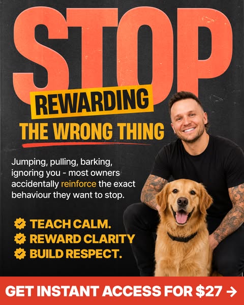 Tom Davis Dog Training ad