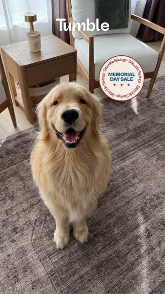 This ad features a golden retriever dog sitting on a rug to promote a site wide savings event. 