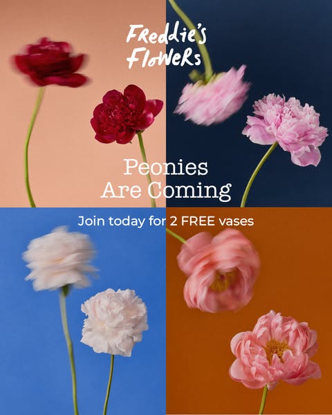 This ad for Freddie's Flowers uses a colorful, eye-catching image split into four sections to showcase peonies in va
