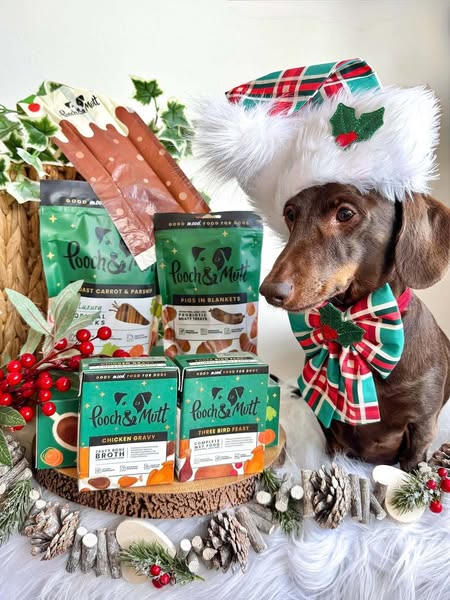 frankie_dachshund03 ad