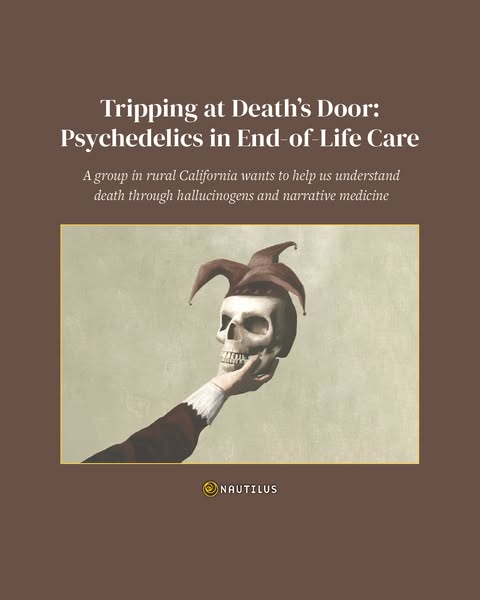 This image ad for Nautilus promotes an article titled "Tripping at Death's Door: Psychedelics in End-of-Life Ca