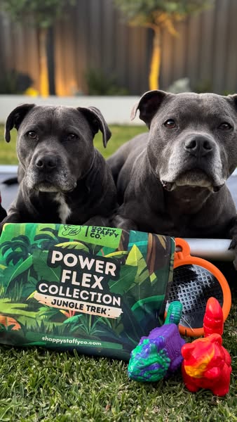 Archie & Ollie ad