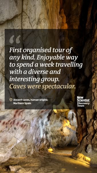 New Scientist ad