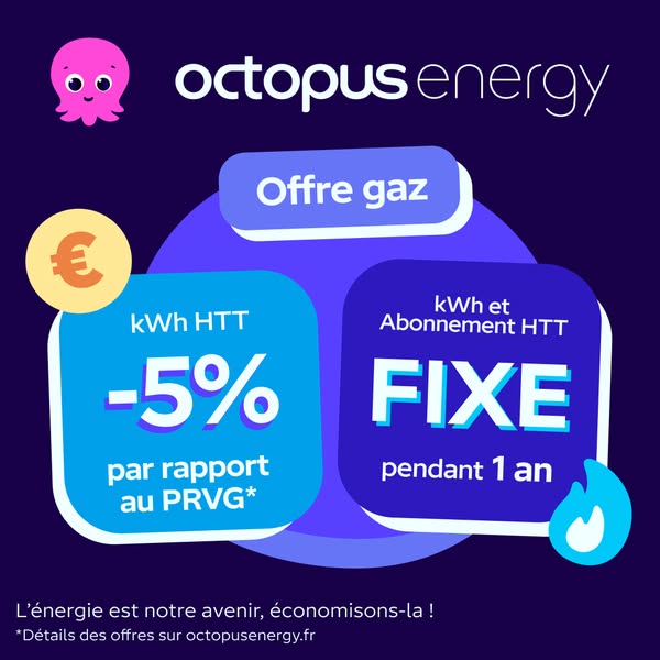 This ad promotes Octopus Energy, highlighting savings on gas and a fixed rate for energy.