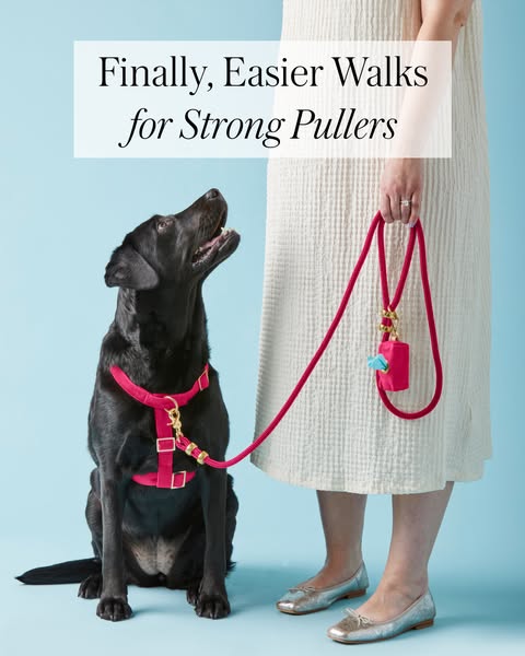 An image ad featuring a dog harness and leash designed for strong pullers. The ad aims to solve the problem of difficult
