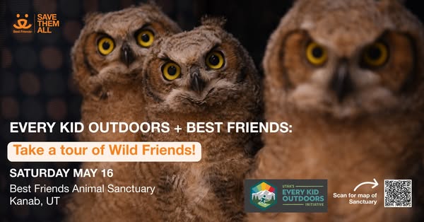 This image ad promotes the "Every Kid Outdoors + Best Friends" event, offering a tour of Wild Friends at the B