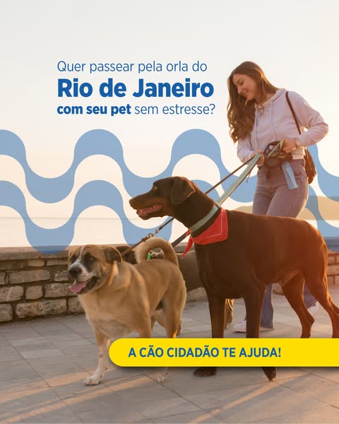 This image ad promotes A Cão Cidadão, a service that helps pet owners enjoy stress-free walks with their pets in Rio de 