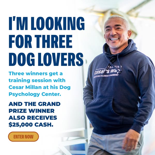 Cesar Millan ad