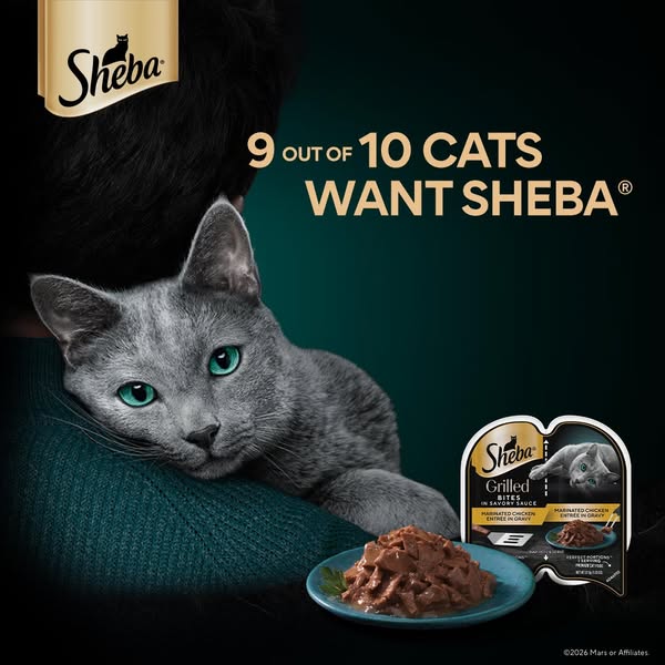 This image ad promotes Sheba cat food. It features a gray cat resting on someone's shoulder and a plate of Sheba Gri