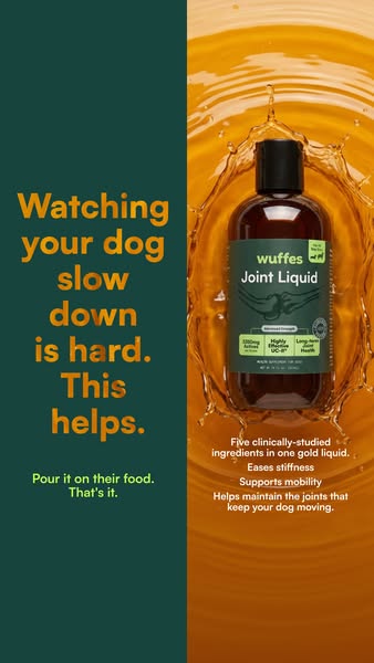 This image ad shows Wuffes Joint Liquid with a headline that emphasizes the emotional challenge of watching a dog slow d