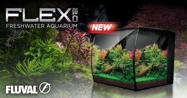 This ad showcases the Fluval Flex 2.0 freshwater aquarium, highlighting its design and suitability for planted aquariums