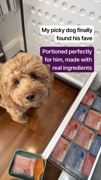 Woofitsgeorge ad