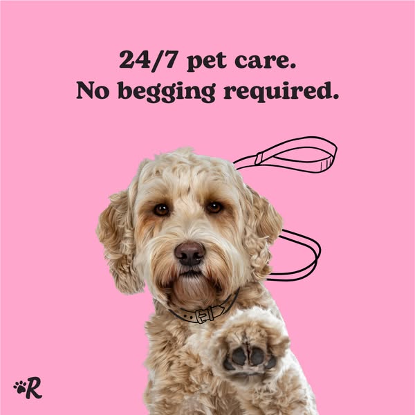 This ad promotes 24/7 pet care services, emphasizing convenience and ease for pet owners.