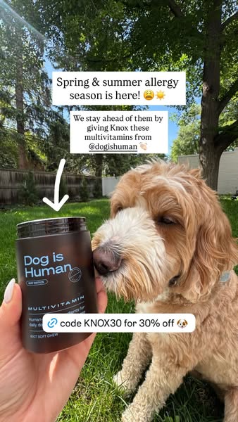 That Dood Knox ad