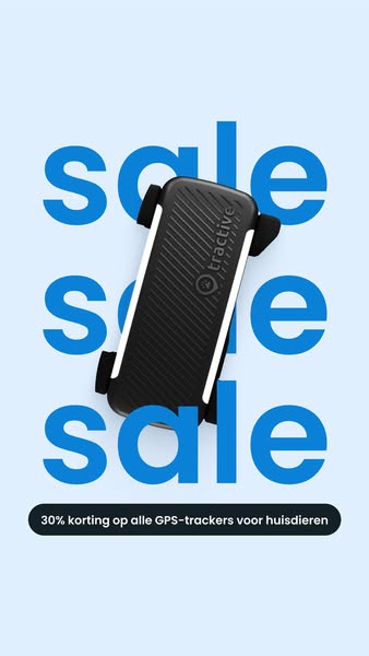 This ad features a single product and notifies the user about a promotion.