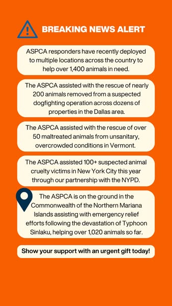 This ad informs the viewer that the ASPCA has recently deployed across the country to help animals in need and urges the
