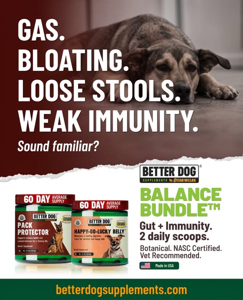 Cesar Millan ad