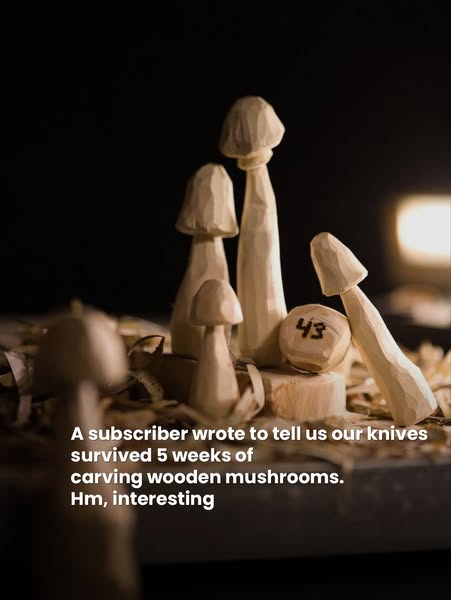 BeaverCraft ad