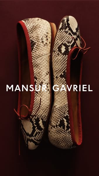 This image ad showcases two snake-print ballet flats against a maroon background. The focus is on the design and style o