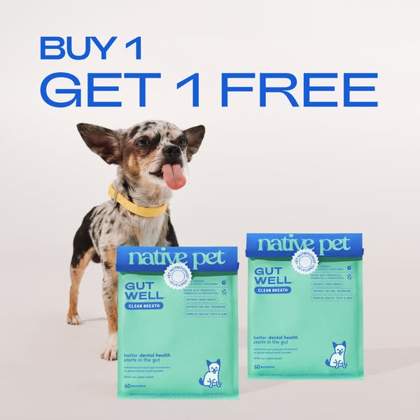 This ad promotes Native Pet's Gut Well Clean Breath supplement for dogs with a buy-one-get-one-free offer. The image