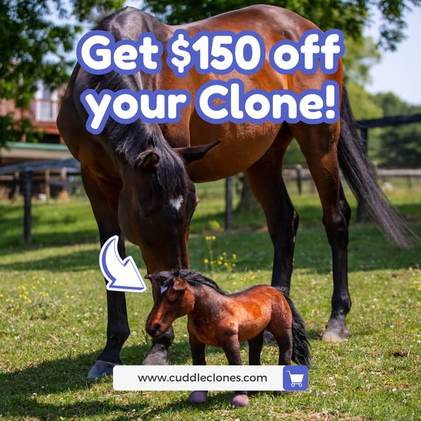 The ad promotes Cuddle Clones, offering a discount on custom-made plush replicas of pets. The image features a horse and