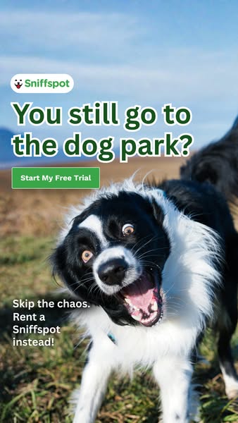 This Sniffspot ad questions the viewer's choice to take their dog to the dog park, presenting it as a chaotic experi