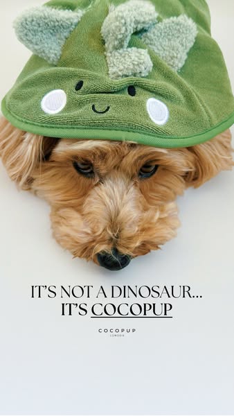 This ad features an adorable dog wearing a Cocopup dinosaur towel in a portrait style shot, emphasizing the product'