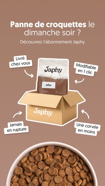 Japhy ad