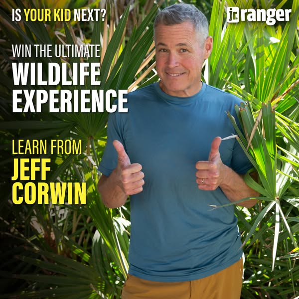 Jr. Ranger ad