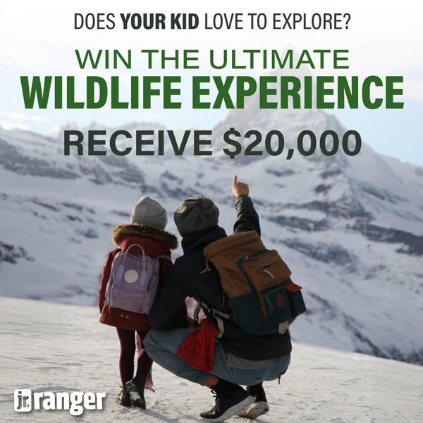 Jr. Ranger ad