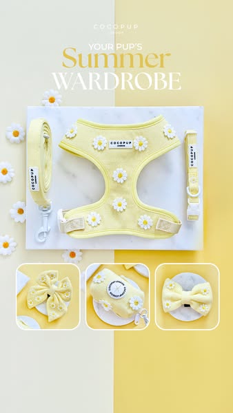 This ad showcases a collection of light-yellow dog accessories with a daisy pattern. It presents a summer-themed wardrob