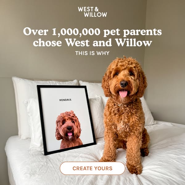 This ad is for West & Willow, a company that creates custom pet portraits. The ad features an image of a dog sitting