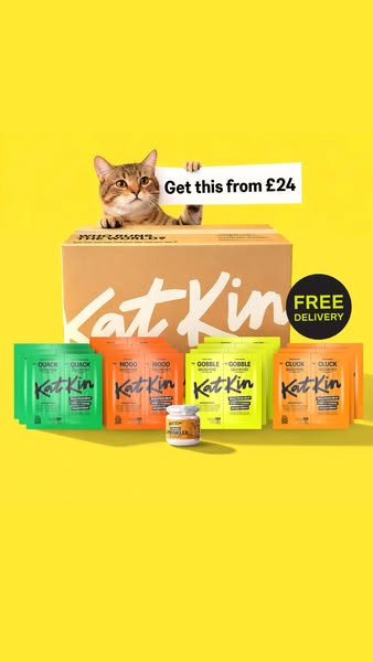 This ad for KatKin cat food features a cat behind a box of KatKin food with a sign that says "Get this from £24&quo
