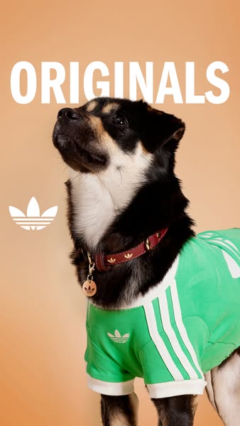 adidas ad
