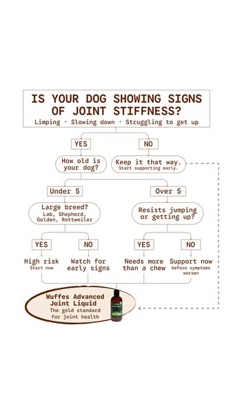 This ad for Wuffes Advanced Joint Liquid uses a decision tree to determine if a dog needs joint support.
