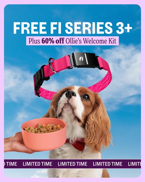 The ad promotes the Fi Series 3+ dog collar and advertises an offer for 60% off Ollie's Welcome Kit.