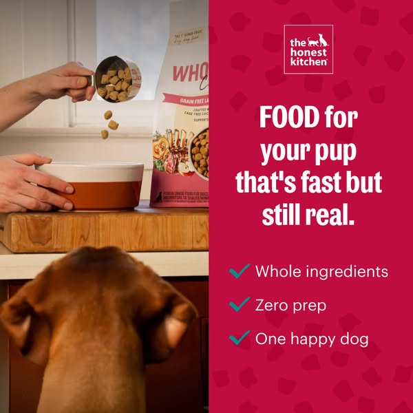 This ad is designed to show how to make a meal with The Honest Kitchen dog food. The ad shows a person pouring dog food