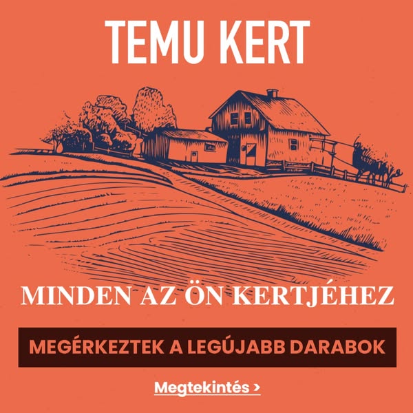 Temu ad