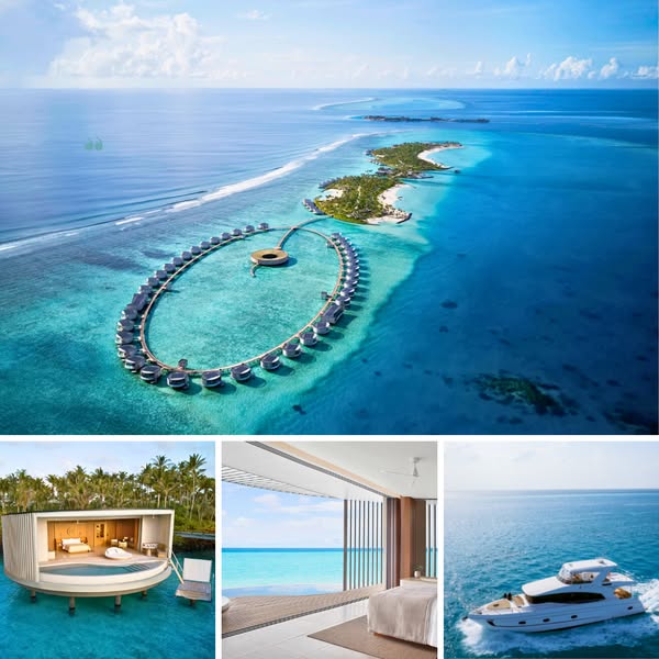 VIP Traveler ad