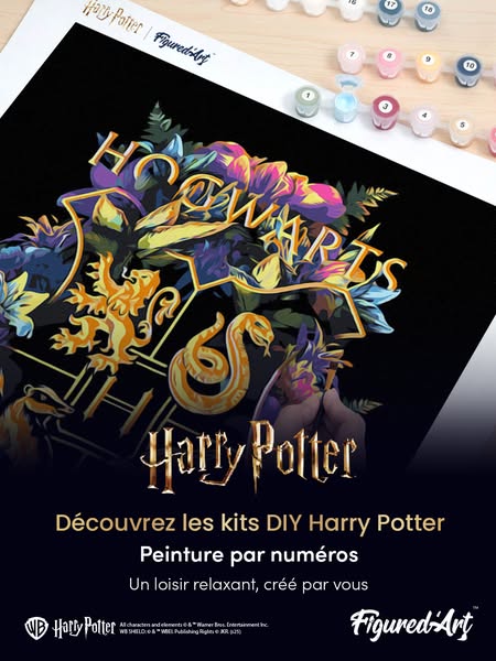 The ad showcases a DIY Harry Potter paint by numbers kit that encourages relaxation and creativity.