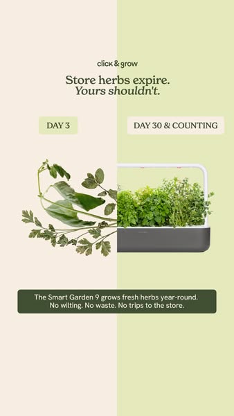 This ad for Click & Grow uses a split-screen format to demonstrate the difference between store-bought herbs (Day 3)