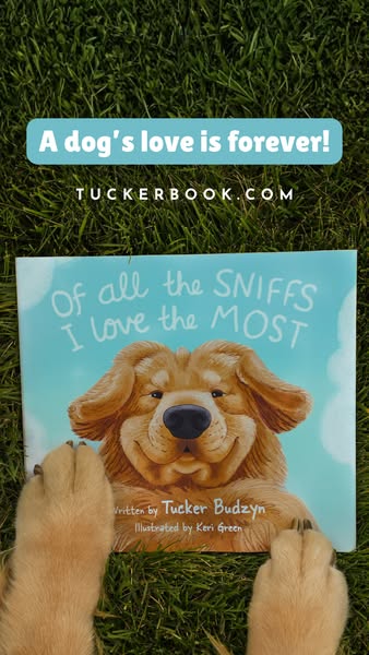 Tucker Budzyn ad