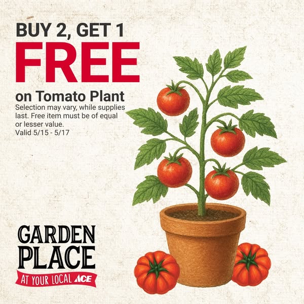 This ad promotes a buy 2 get 1 free deal on tomato plants at Garden Place, available at your local Ace Hardware from May