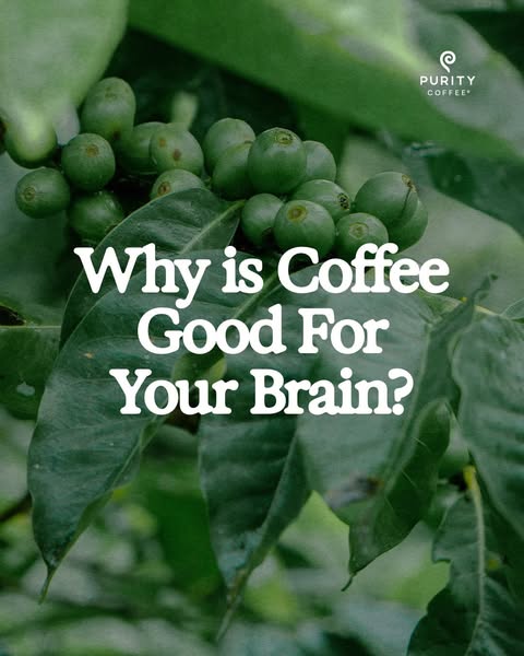This image ad asks the question, "Why is Coffee Good For Your Brain?" using an image of coffee beans on the br
