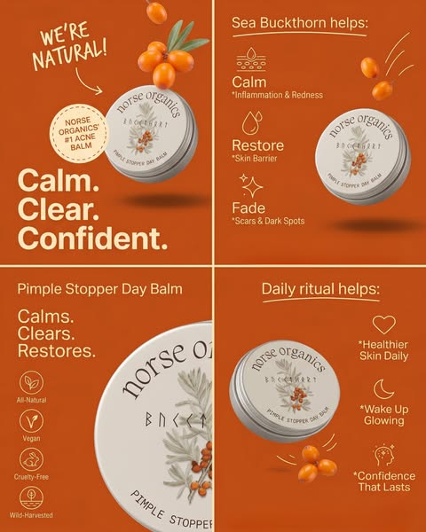 This ad for Norse Organics Pimple Stopper Day Balm uses a grid layout to present the product and its benefits, targeting