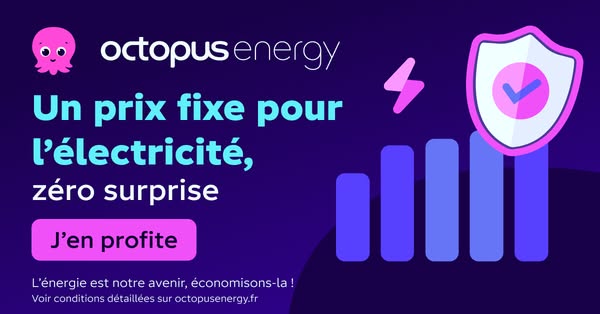 This image ad for Octopus Energy promotes fixed-price electricity with zero surprises, emphasizing the importance of ene